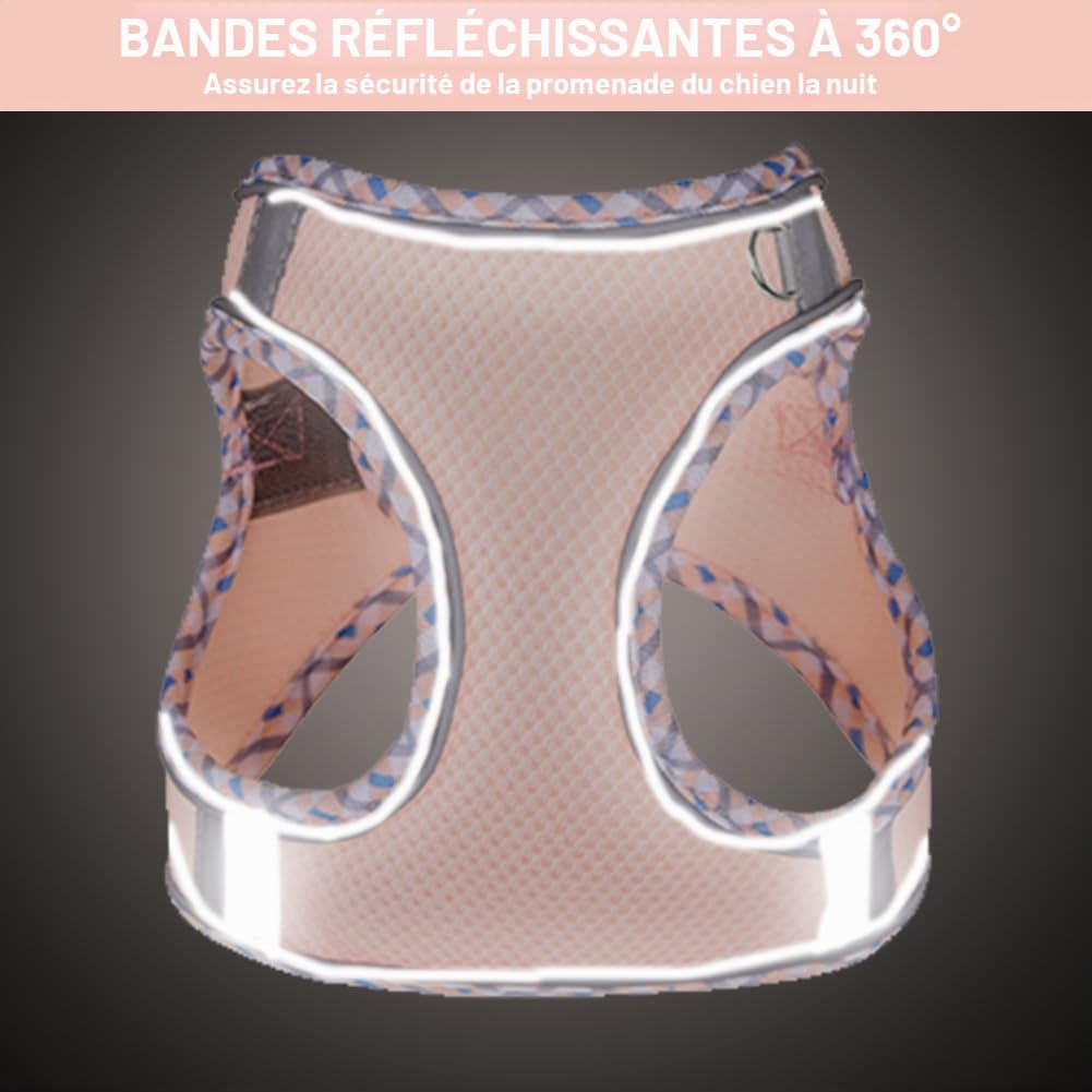 Harnais pour Chiens de Petite Taille et de Taille Moyenne, Harnais et Laisse pour Chiots, Harnais en Maille réfléchissante et Respirante, Gilet Doux et rembourré pour Chiens