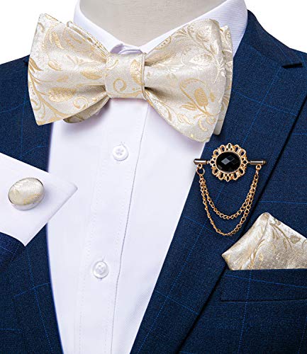 Image of DiBanGu Silk Woven Bowtie Mens Self Bow Tie Set with Lapel Pin | Paisley Floral Pattern,Bow Ties for Men,Easy to Match,Lapel Pin, Pocket Square,Cufflinks,Wedding Ceremonies,Party Occasions
