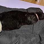 お客様イメージ、クリックしてカスタマーレビューを開く