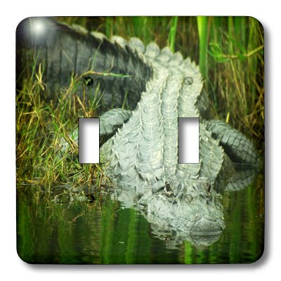 Interrupteur à bascule double Alligator Floride 3dRose lsp_62370_2 - 4
