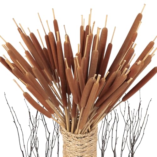 45pcs Large Natural Brown Cattails Bundles 17 Real Dried Flowers