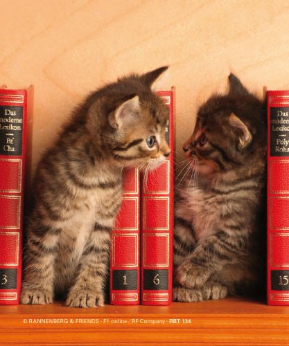 Panno pulisci occhiali Gattino nella libreria