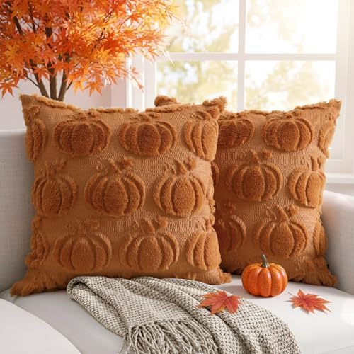 Thmyo Fall Decorative Throw Pillow Covers 18x18 inch Set of 2, Caramel Pumpkin Cushion Cases for Autumn, Soft Faux Fur DIY Pillowcases for Sofa Couch Bedroom Thanksgiving Winter Home Decor Gift