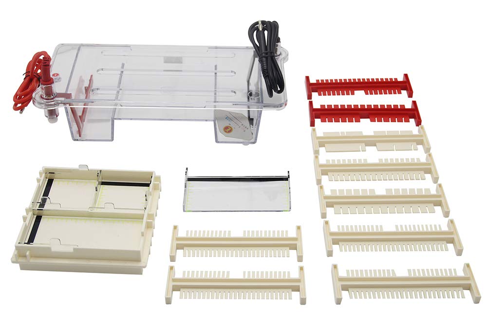 dycp-31dn Mini Lab Modular Gel horizontal electroforesis celular sistema 120 x 120 mm