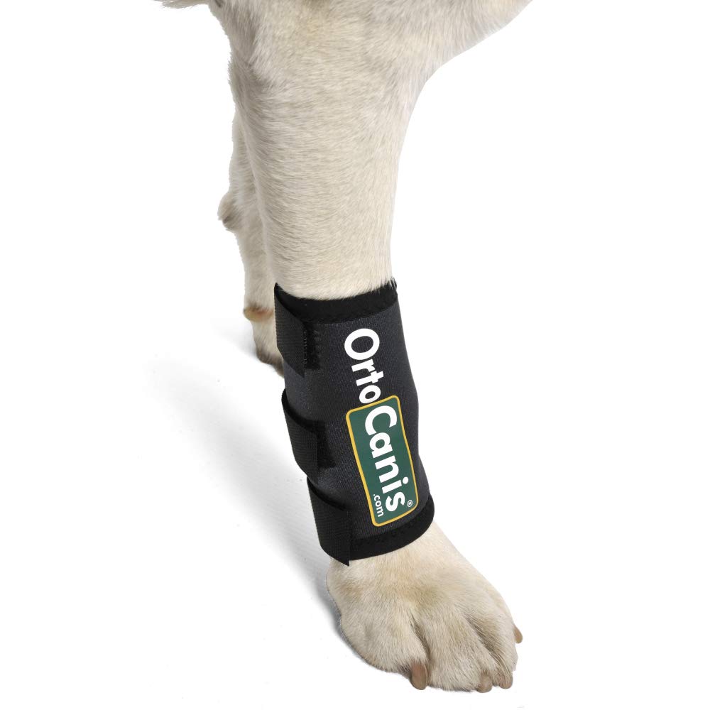 Ortocanis Original Carpal wrap for Dogs with Arthritis, Injuries in The