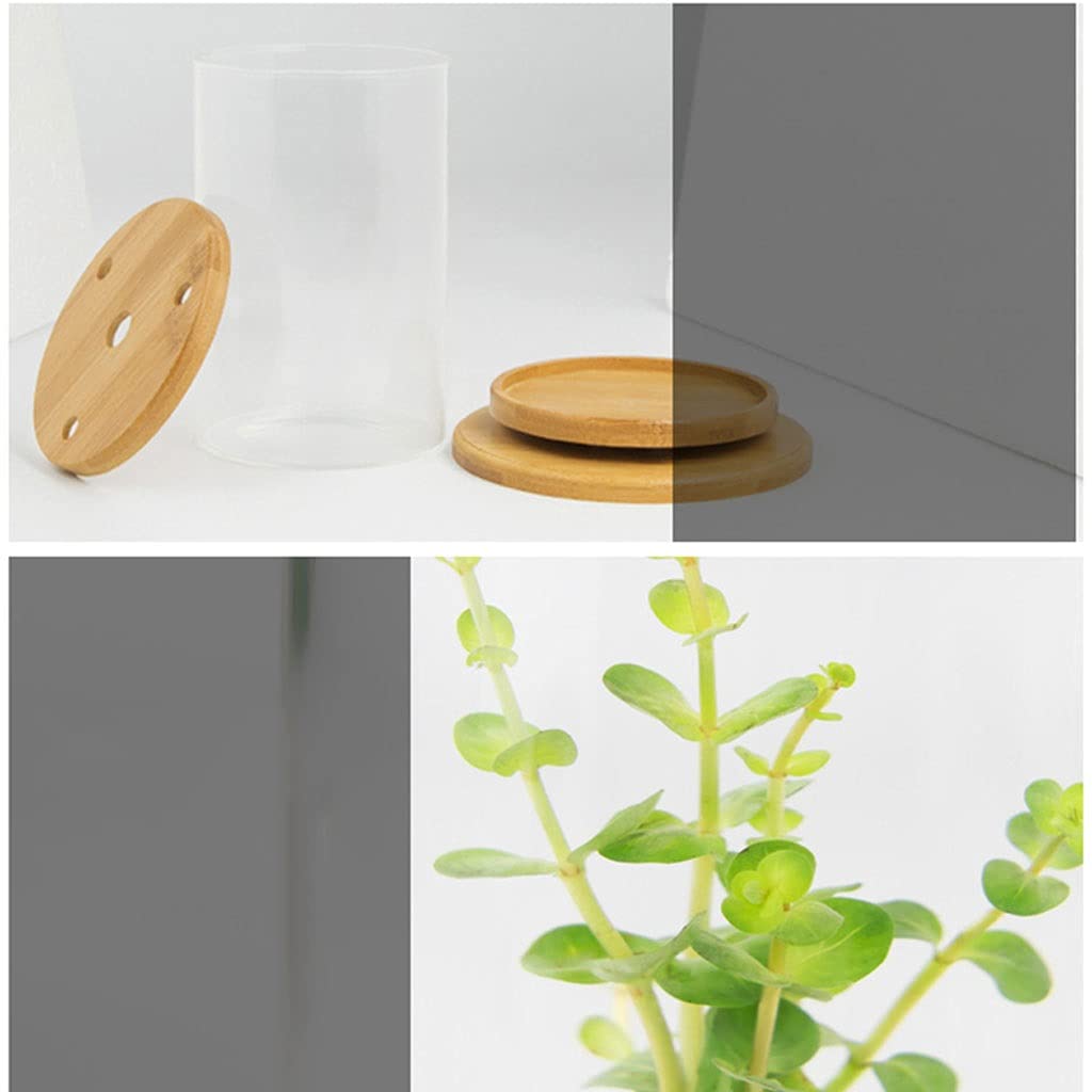 Réservoir à Poissons, bocal à Poissons, Aquarium de Bureau Rotatif créatif en Verre Transparent for Petits Poissons ornementaux Betta Fish Tank Bureau Ménage Écologique Bouteille Aquarium Réservoir