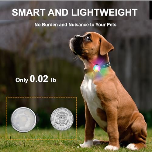 Tubasion 7 Colours in 1 Leuchtanhänger Hund, USB-C Wiederaufladba Blinklicht Hundegeschirr, Licht für Hundehalsband Silikon, IP65 wasserdichte Led Hundehalsband für Nachtspaziergänge
