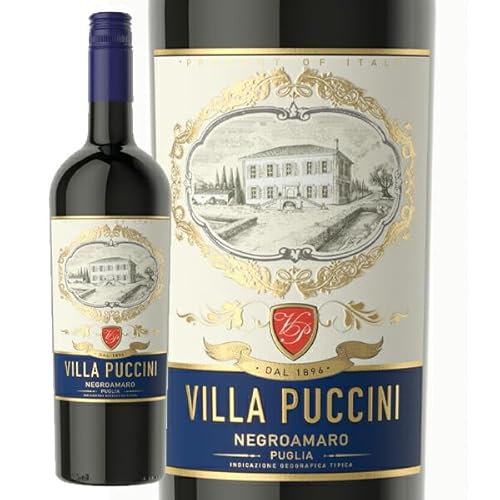 yVilla PucchinizNegro Amaro 2021 750ml (07677421)