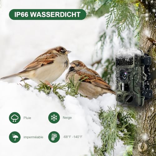 HAZA Wildkamera 4K HD Wildtierkamera mit 32G Sd Karte mit Bewegungsmelder nachtsichtkamera Outdoor...