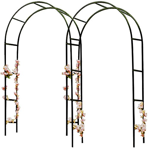 Deuba 2X Arcos Decorativos para Rosales Plantas trepadoras Metal pulverisado 240 x 140 cm para jardín Exterior Eventos