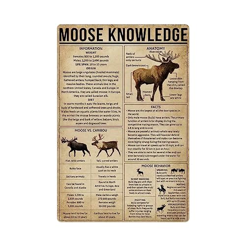 Knowledge wall decor art metal tin sign retro medieval themed home room rústico inodoros vintage metal signdecor moose knowledge 8x12 in