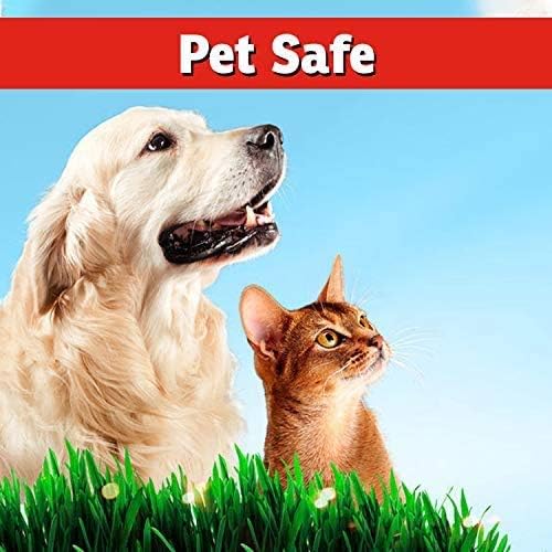 Miniatura 5 de I Must Garden - Repelente de ciervos, listo para usar (paquete de 2, 32 onzas RTU)