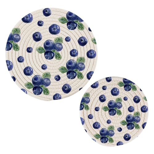 Fruits Blueberry Trivets for Hot Pots and Pans Trivet Pot Holders Heat Resistant Mat Soft Coaster Hot Pads for Kitchen Decor Housewarming Gifts Set of 2