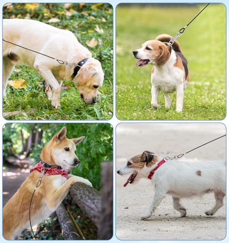 2 Stück Hundeleine Bissfest, Trainingsleine für Hunde mit Verlängerungsseil aus Metall, Kausichere Hundeleinen-Verlängerung für Kleine Mittelgroße Hunde, Robuste und Sichere Hundeleine