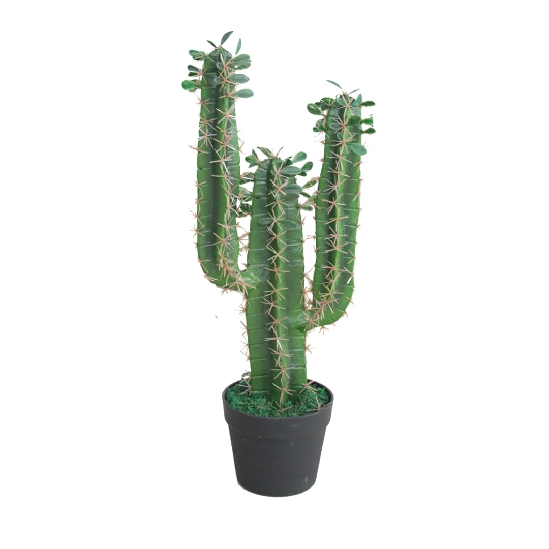 Lacers SMARAGDLINE Künstlicher Kaktus - 60cm - Pflanzen für Wohnungs & Bad Deko - Sukkulenten künstlich, Kunstpflanzen - Wohnzimmer, Büro & Hotel - Fensterbank Deko