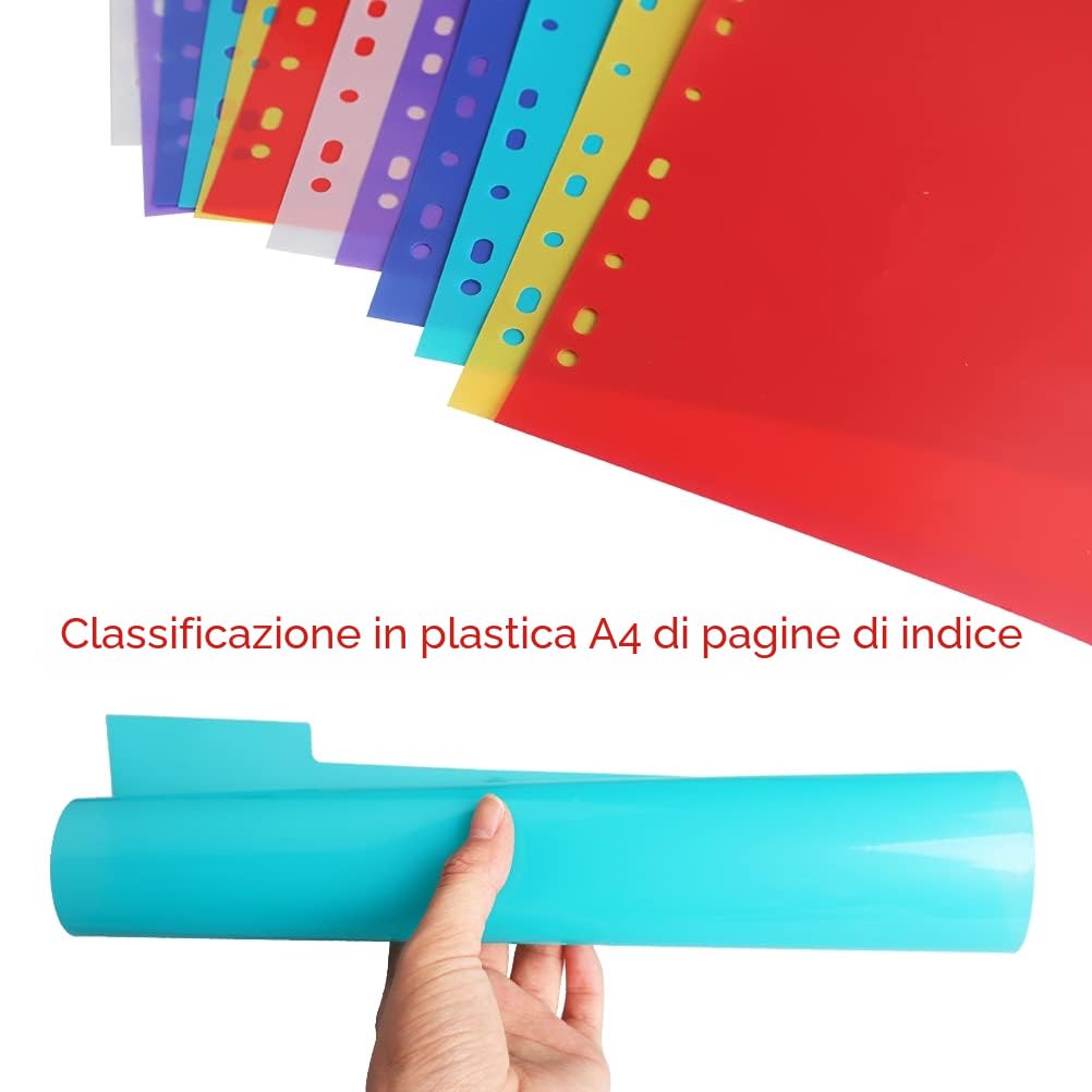 Separatori Raccoglitore ad Anelli A4 29,5x20,8 cm Divisori Colorati per Ufficio Scuola Casa