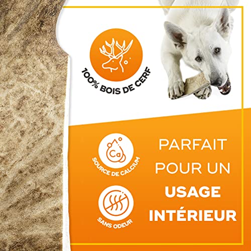 Natural Dog Treats - Damhirschgeweih für Hunde - Natürlich Kauknochen Hund - Geweih für Große Hunde - Kaustangen Hund - Kauspielzeug und Zahnpflege - Hundespielzeug - Große Größe (101-150g)