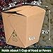 100% Recyclable 8oz Brown Chinese Take Out Boxes 50pk. Leakproof Greaseproof To Go Containers For Restaurants Event Parties Food Service. Best Value Bulk Pack Microwaveable and Stackable Meal Pails.