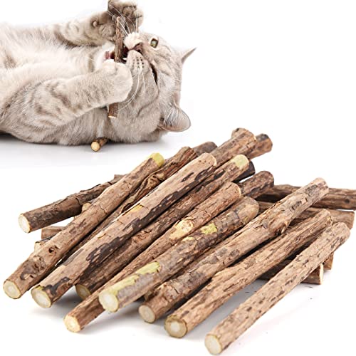 onebarleycorn - Bastoncini di Erba Gatta in Legno Matatabi Gatti Bastoncini Erba Gatta per la Cura Dentale aiutano Giocando ad eliminare alitosi e tartaro (20PCS)