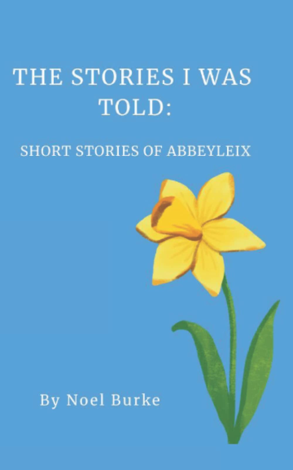 The Stories I was Told: Short Stories of Abbeyleix