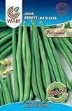 WAM