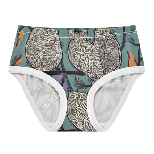 Girls Underwear Toddler 2t Cotton Panties Little Girl Cartoon Undies Kids Briefs Whimsical Birds Teal