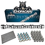 Stage 2 Cam Kit with .560 Lift Beehive Springs Seals Pushrods for LS Truck Camshaft for 4.8 5.3 6.0 6.2 Vortec 1999-2013