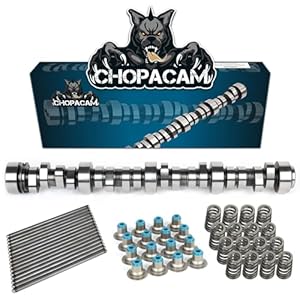 Stage 2 Cam Kit with .560 Lift Beehive Springs Seals Pushrods for LS Truck Camshaft for 4.8 5.3 6.0 6.2 Vortec 1999-2013