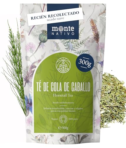 Té Cola de Caballo Monte Nativo (300g) - Cola de caballo infusion - Infusiones de hierbas – Té de hierbas - Cuidadosamente cortado y secado – Puro y natural