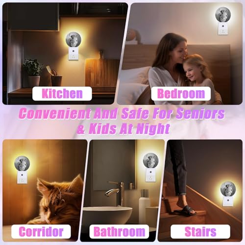 Image of Highland Cow Night Light LED Lamp Round Plug into Wall Nightlight with Dusk to Dawn Sensor Home Hallway Stairway Bathroom Decor