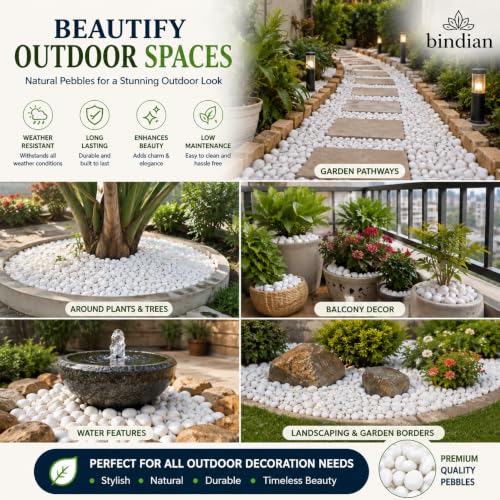 Image of Bindian Decorative Pebble Stone, Multicolour, Natural Stone, Smooth & Polished, for Aquarium, Garden, Plant Pot, Fountain Decor (2 Kg, White)