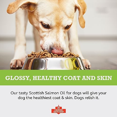 Pure Scottish Salmon Oil for Dogs UK - 500ml | 100% Pure Dog Salmon Oil - Natural Omega 3, 6 & 9 Fish Oil for Dogs | Dog Supplements - Omega 3 Fish Oil for Dogs | Canine Ketchup - Image 6