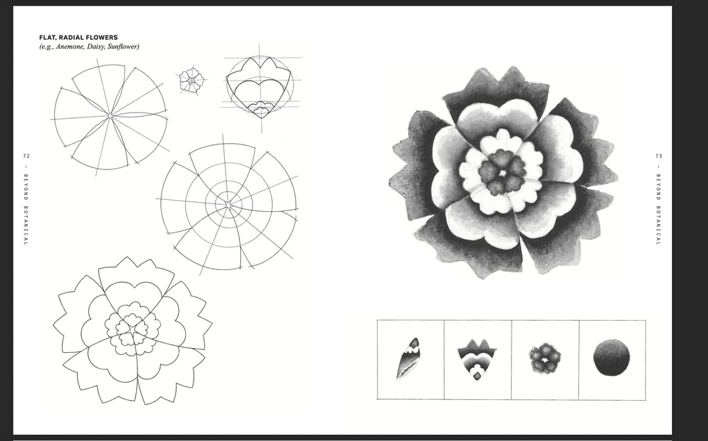Beyond Botanical: A Guide to Drawing Plants in Nature