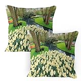 ABAKUHAUS Frühling Kissenbezug Packung mit 2, Blumen-Garten im Erholungspark mit frischer Gras-Feld-und Teich-Natur-Szene, Dekorativer Standard Gedruckter Kissenbezug, 80 x 80 cm, Grün und Brown