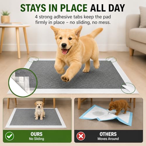 Image of Bamboo Charcoal Puppy Pads 23 inchx23 inch, 100 Count, 6-Layer Leak-Proof Dog Training Pads, Super Absorbent, Quick Dry, Odor Control Pee Pads for Puppies & Dogs