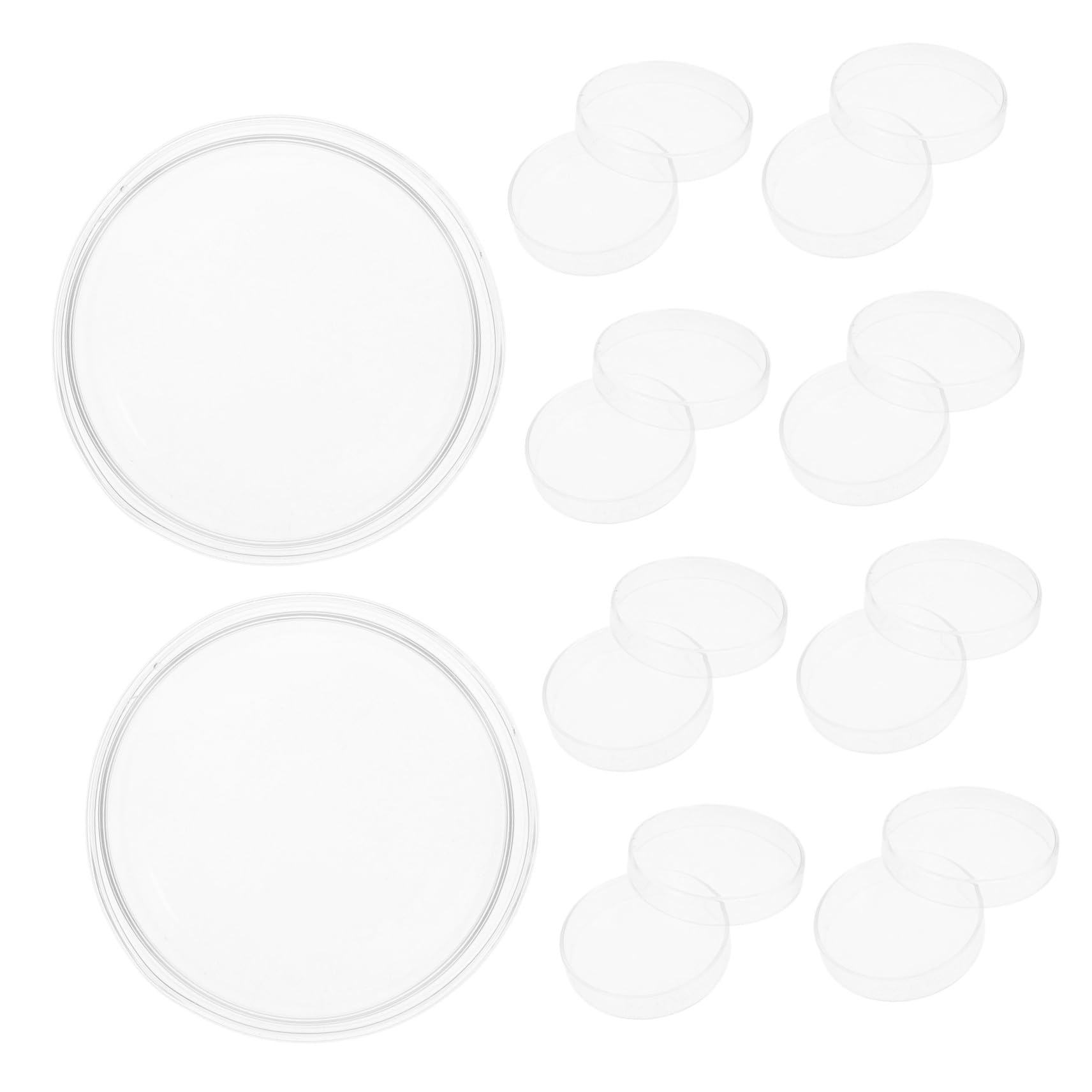 NOLITOY 10stücke Labor Petrischalen aus Glas Sterile Kulturschalen mit Deckel für Mikrobiologische Experimente Wachstum von Zellen und Verwendung als Werkzeug und Zubehör für Laborausrüstu