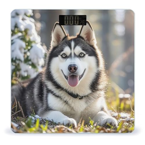 Báscula digital de baño con vidrio templado y pantalla LCD