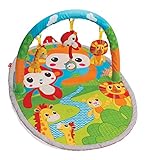 Infantino Explore & Store Jungle Gym