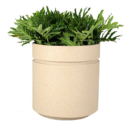 Amazon.com: Allied Molded Products 1RLP-6039-(PD-13) Boulevard