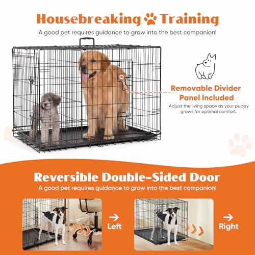 Image of Sweetcrispy 36 Inch Dog Crate, Medium Dog Cage, Foldable Puppy Pet Kennel | Double Door, Metal Kennel, Secure Lock, Removable Tray, Indoor Outdoor Training Travel