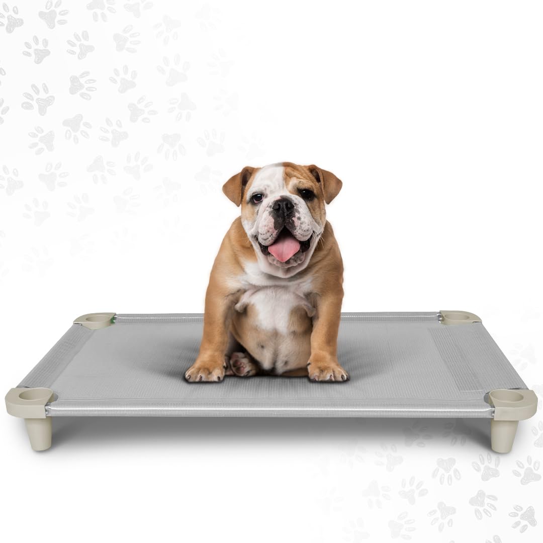 Cama Elevada para Perros Acrimet, con Malla Lavable y Transpirable, Estructura de Acero Inoxidable, para Uso Interior y Exterior (Tamaño: 102 x 61 x 11cm) (Color Gris) (1 Unidad)