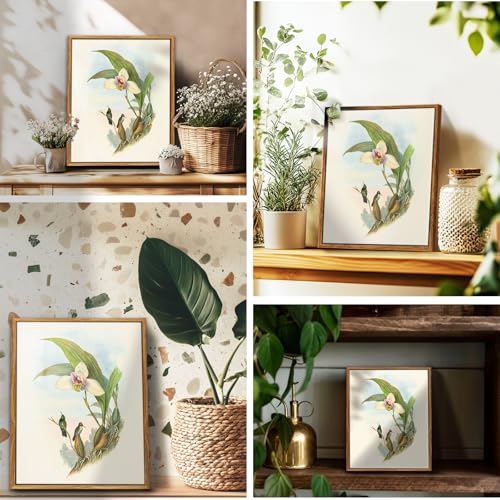 crmotu Bird Framed Wall Art, Hummingbird Daffodil Vintage Canvas Prints, Animal Botanical Nature Wall Decor, Floral Retro Rustic Kitchen Decorations Wall Pictures for Bedroom Desktop, 9x11inch
