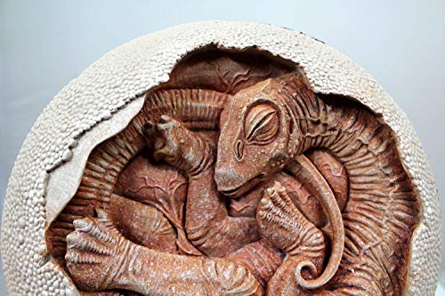 Image of TITANOSAUR Embryo