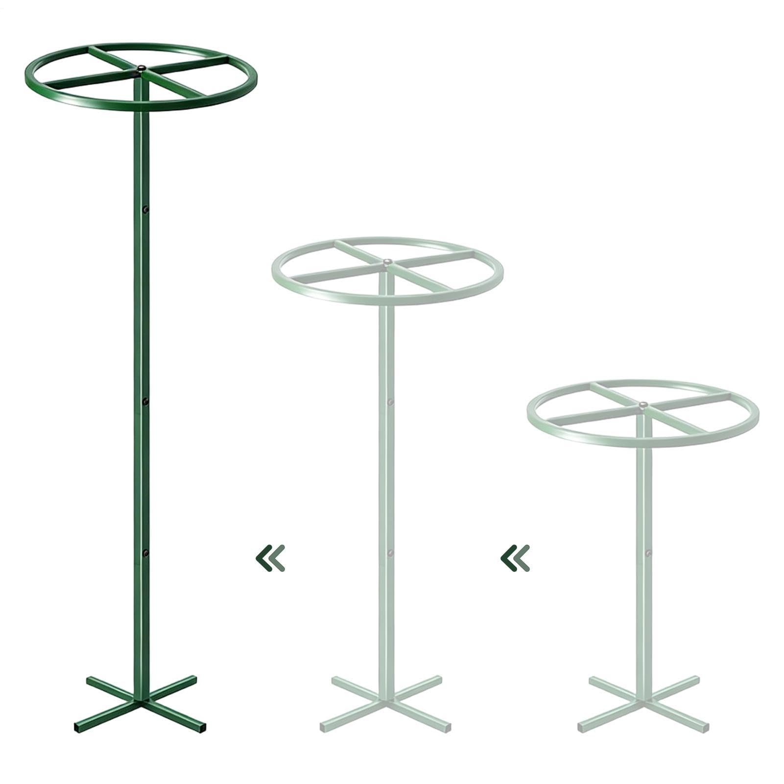 Pilar de escalada botánica, aguja vertical, accesorios de jardín, soporte de plantas de fruta del dragón para plantas de tomate, flores, pepino, vides, macetas, interiores y exteriores, patio