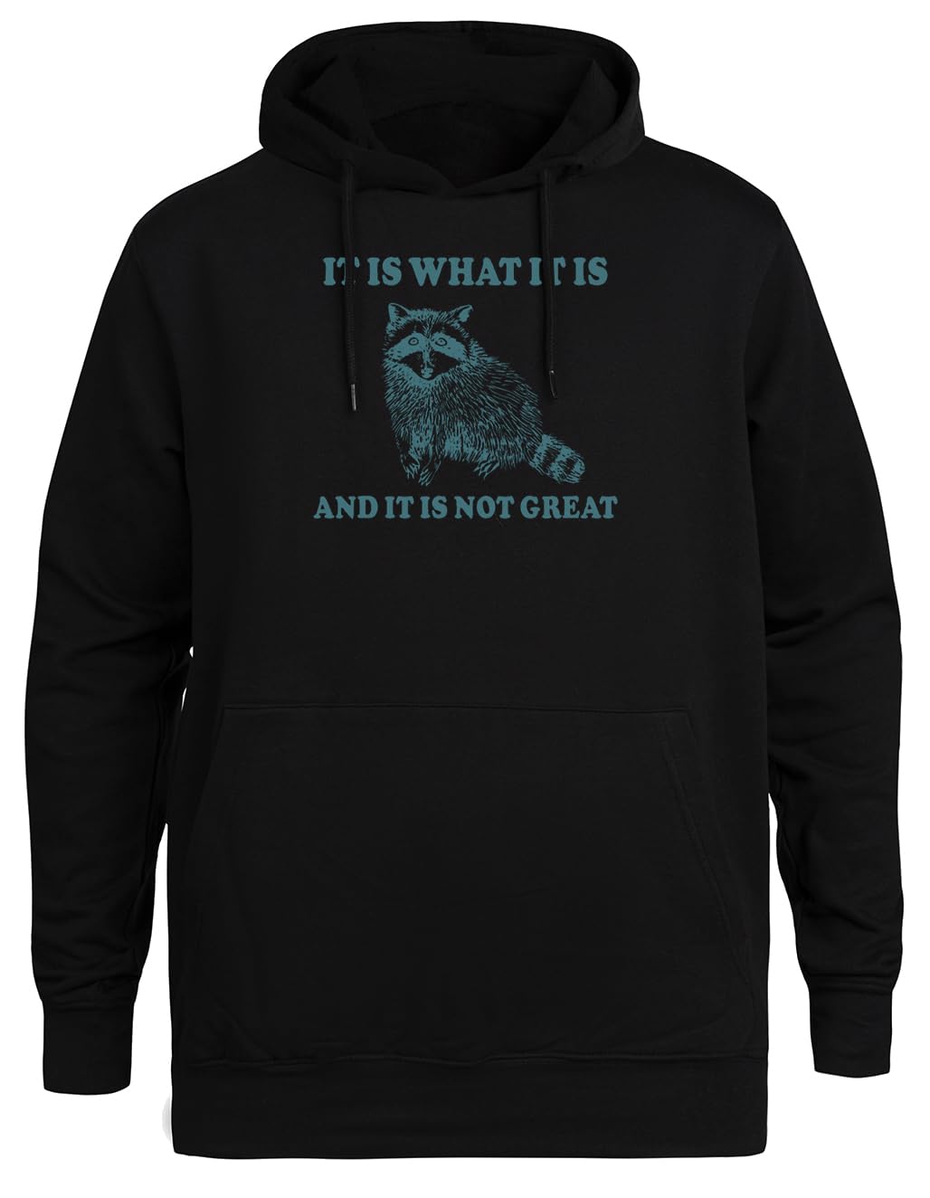 It Is What It Is And It Is Not Great Unisex Czarna Bluza Ekologiczna z Kapturem Unisex Black Hoodie Eco-Friendly Hooded Jacket