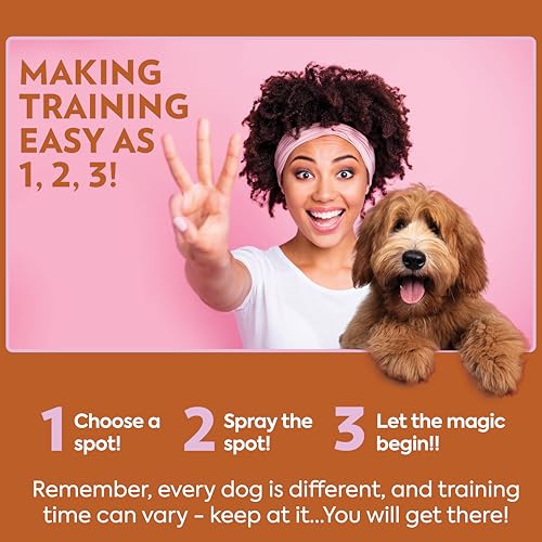 OUT! PetCare Go Here Attractant Dog and Puppy Potty Training Spray, Safe & Effective Puppy Pee Spray, Dog Housebreaking Supplies, Indoor and Outdoor House Training Tool, 32 oz by OUT! - Image 6