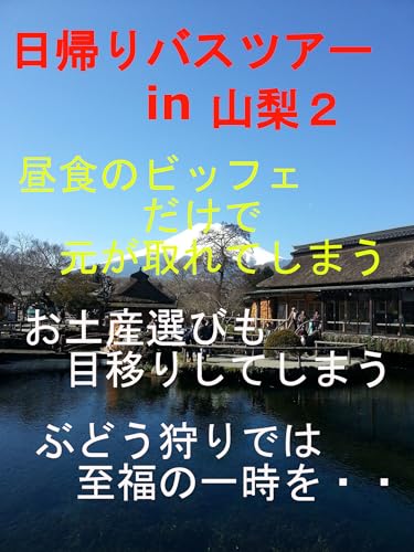 Oneday bus tour Yamanashi 2 Best value for money (Japanese Edition)