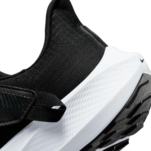 Image of Nike Womens Nike Air Zoom Pegasus 39 FlyeaseSneaker