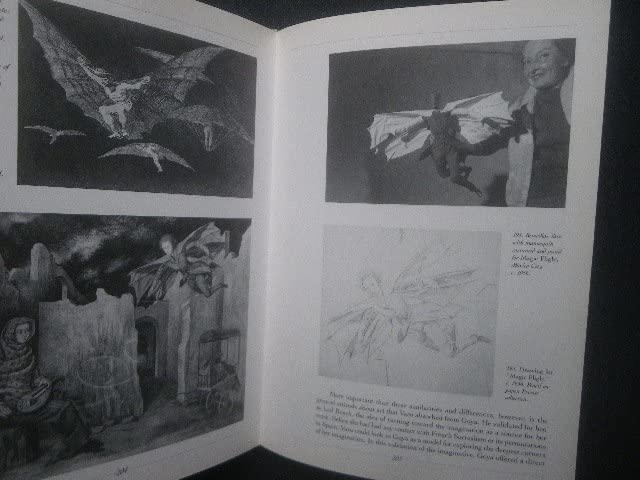 Amazon.co.jp: 希少 レメディオスバロ 洋書 Unexpected Journeys The