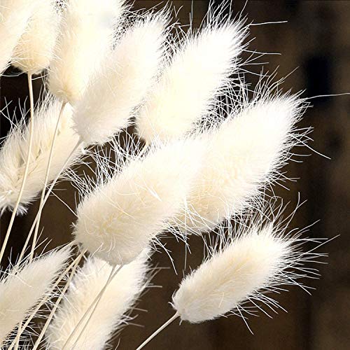 Erba di Pampa 30pcs, Erba della Pampas Decorative